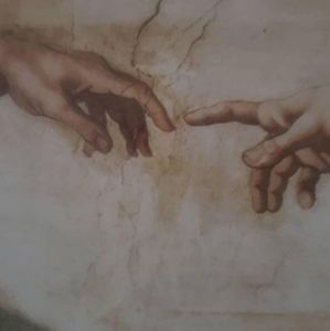 Meet your Posher, Elsa